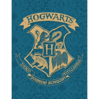 Harry Potter® Hogwarts Fleecefilt Blå