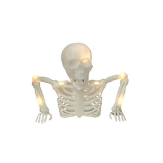 Skelett Torso Ljus
