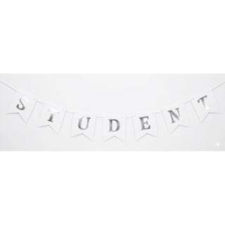 Student Girlang Silver