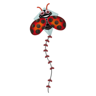 Nyckelpiga Pop-Up Drake
