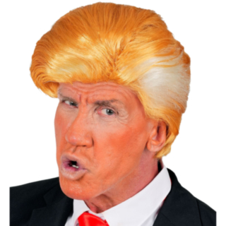 Donald Trump Paryk Blond