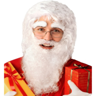 Jultomteperuk med skägg