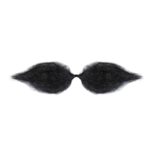 Schnauzer Mustasch Svart