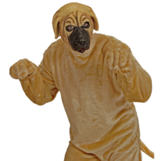 Bullmastiff Mask