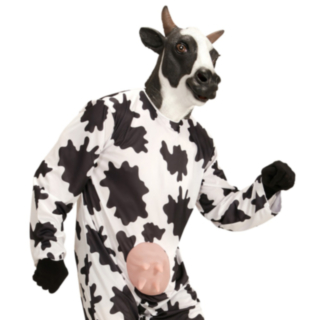 Ko Helmask