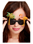 Hawaii Solglasögon