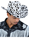 Cowboyhatt Komönster
