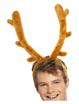 Renhorn