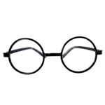 Harry Potter® Glasögon