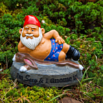 I'm Sexy & I Gnome It! Trädgårdstomte