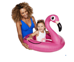 Flamingo Badring Barn