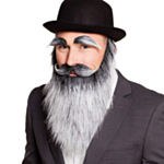 Gammal Man Skägg & Ögonbryn