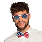 USA Partyglasögon
