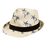Palmhatt
