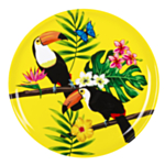 Tropical Party Tallrikar