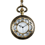 Steampunk Fickur