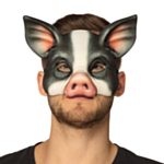 Gris Halvmask