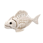 Fiskskelett
