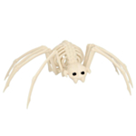 Spindelskelett