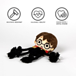 Harry Potter® Rep Hundleksak