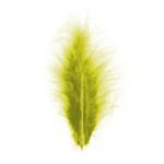 Dekorationsfjädrar Kiwi 10-15 cm