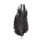Strutsfjädrar Svart 20-25 cm