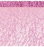 Glitter Bordslöpare Rosa