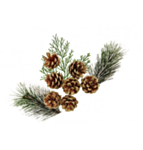 Jul Dekorationer