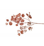 Konstgjord Eukalyptus Kvist Roséguld
