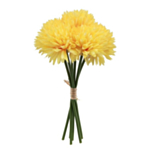 Dahlia Blommor Gula