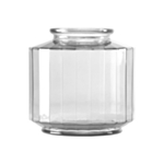 Flora Glasvas Transparent
