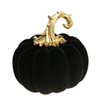Pumpa Velour Svart/Guld