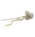 Konstgjord Scabiosa Bukett Salviagrön