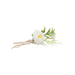 Pion Blomsterdekoration Vit