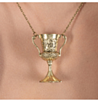 Trofé Halsband Brons