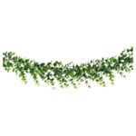 Eukalyptus Girlang Grön