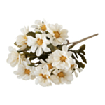 Tandört Blomma Vit