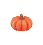 Pumpa Keramik Orange