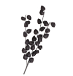 Konstgjord Physalis Gren Svart