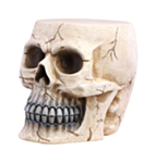 Dödskalle Skulptur Dekoration