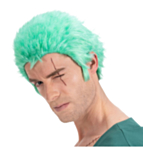 One Piece® Zoro Peruk Grön