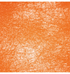 Romance Dekorationsband Orange