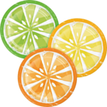Citrus Lunchtallrikar