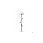 Konstgjord blomma vit