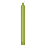 Kronljus Kiwi