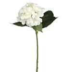 Konstgjord Hortensia Vit