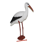 Stork