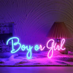 Boy Or Girl Neonskylt