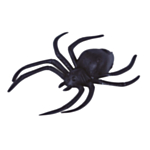 Halloween Spindlar Svart