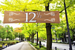 Kopparbröllop Banner